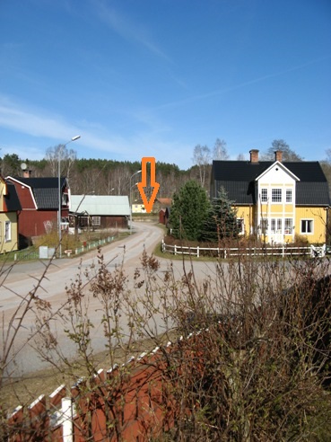 Silvern (17)