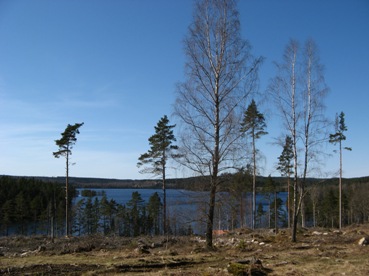 badplats (1)